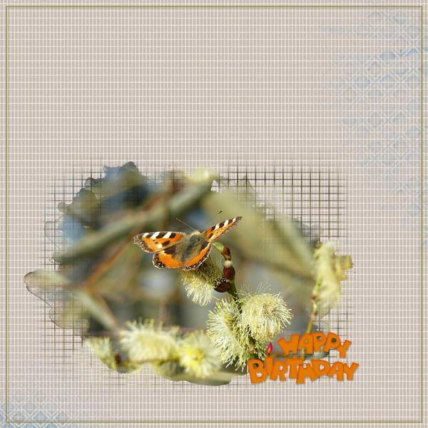 Bon Anniversaire Bérénice