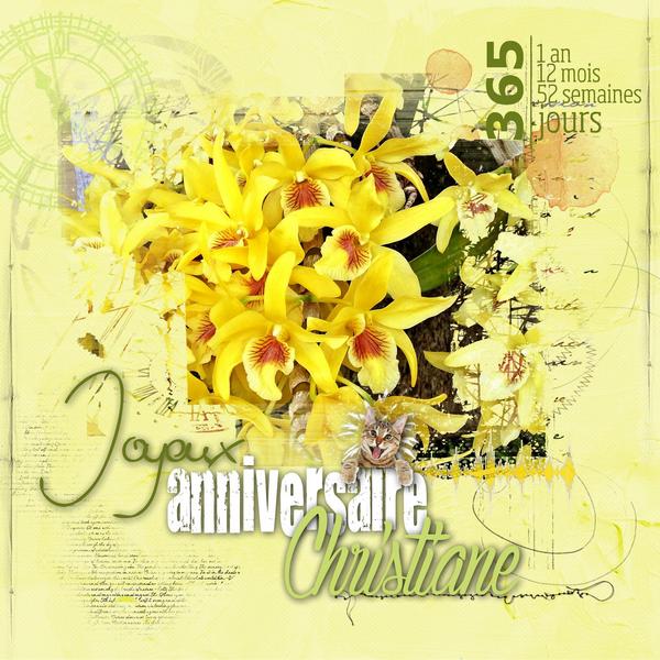 Bon anniversaire Christiane