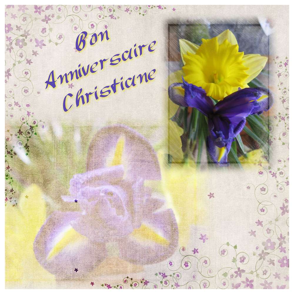 Bon anniversaire Christiane