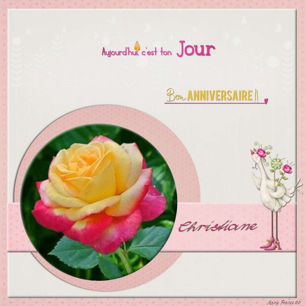 BON ANNIVERSAIRE CHRISTIANE