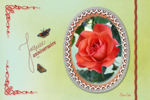 Bon Anniversaire Cyanne