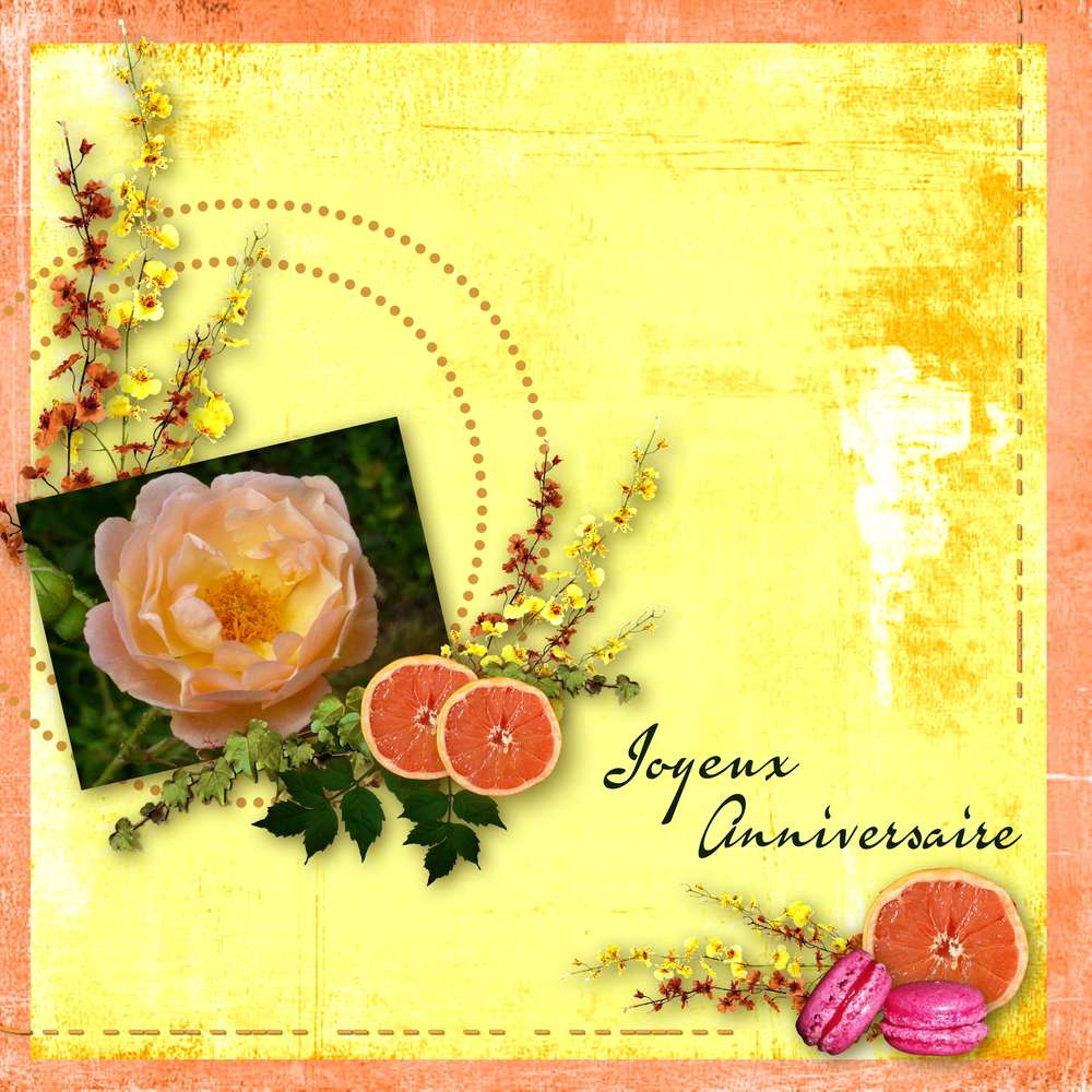 Bon anniversaire Cyanne