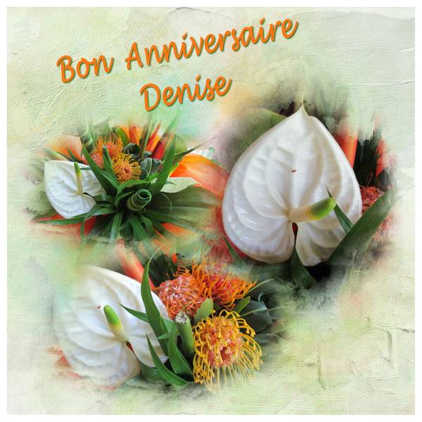 Bon anniversaire Denise