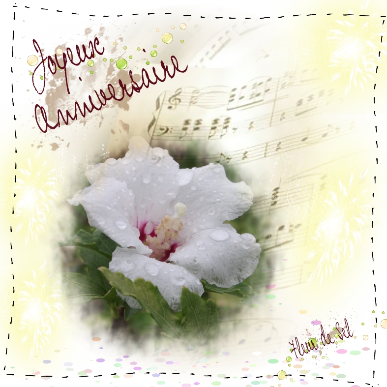 Bon Anniversaire Fleur de Sel