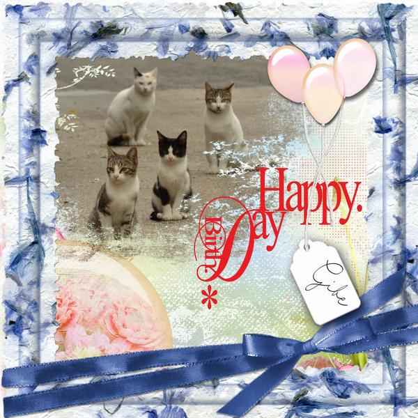 Bon Anniversaire Gibe