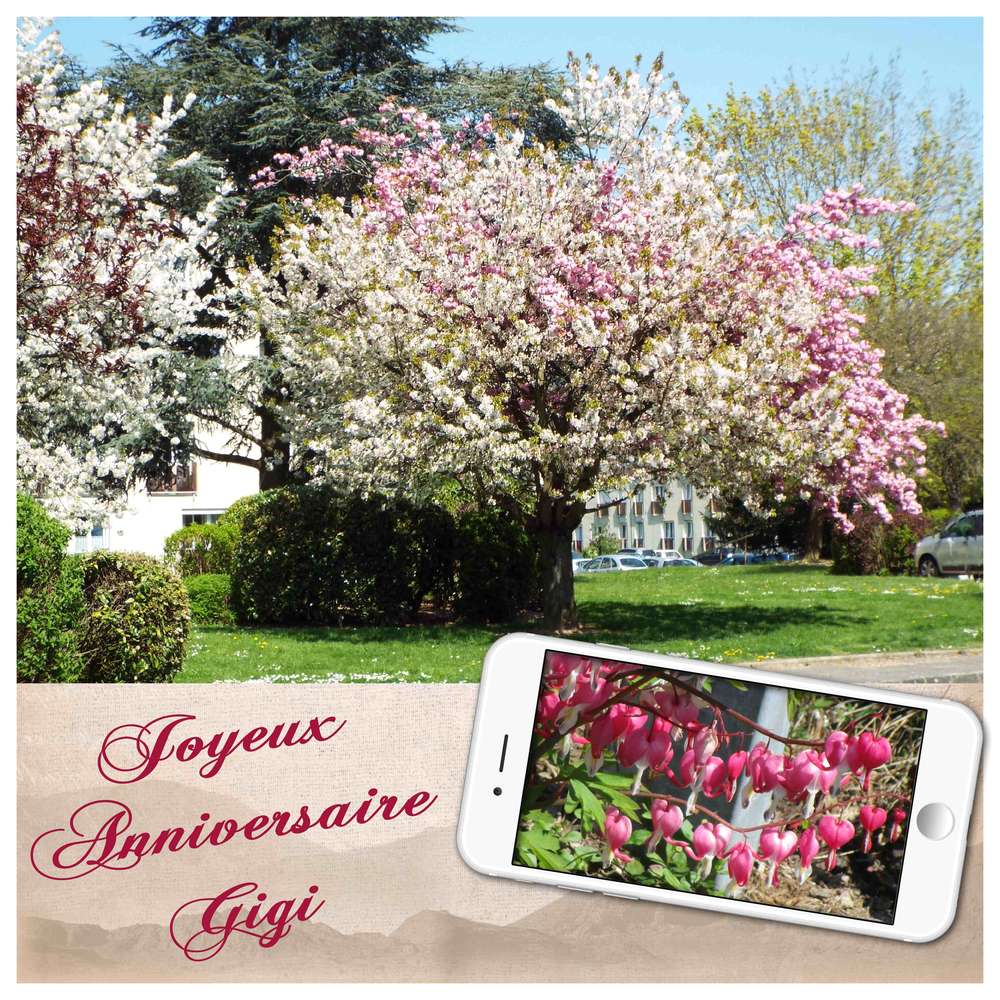 Bon anniversaire Gigi