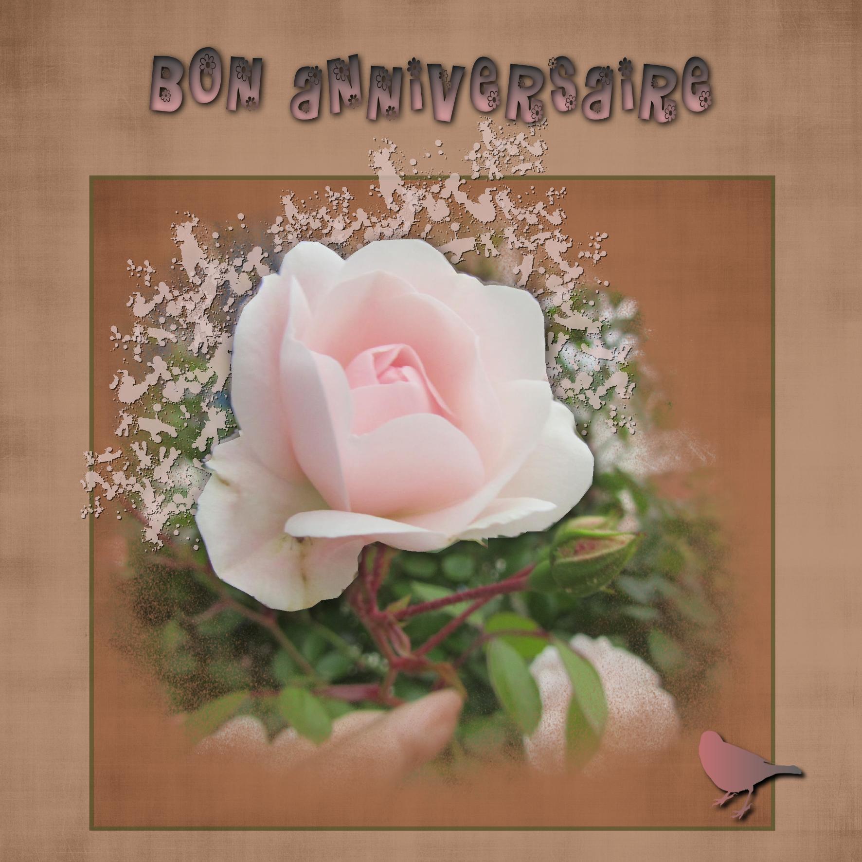 Bon anniversaire.jpg