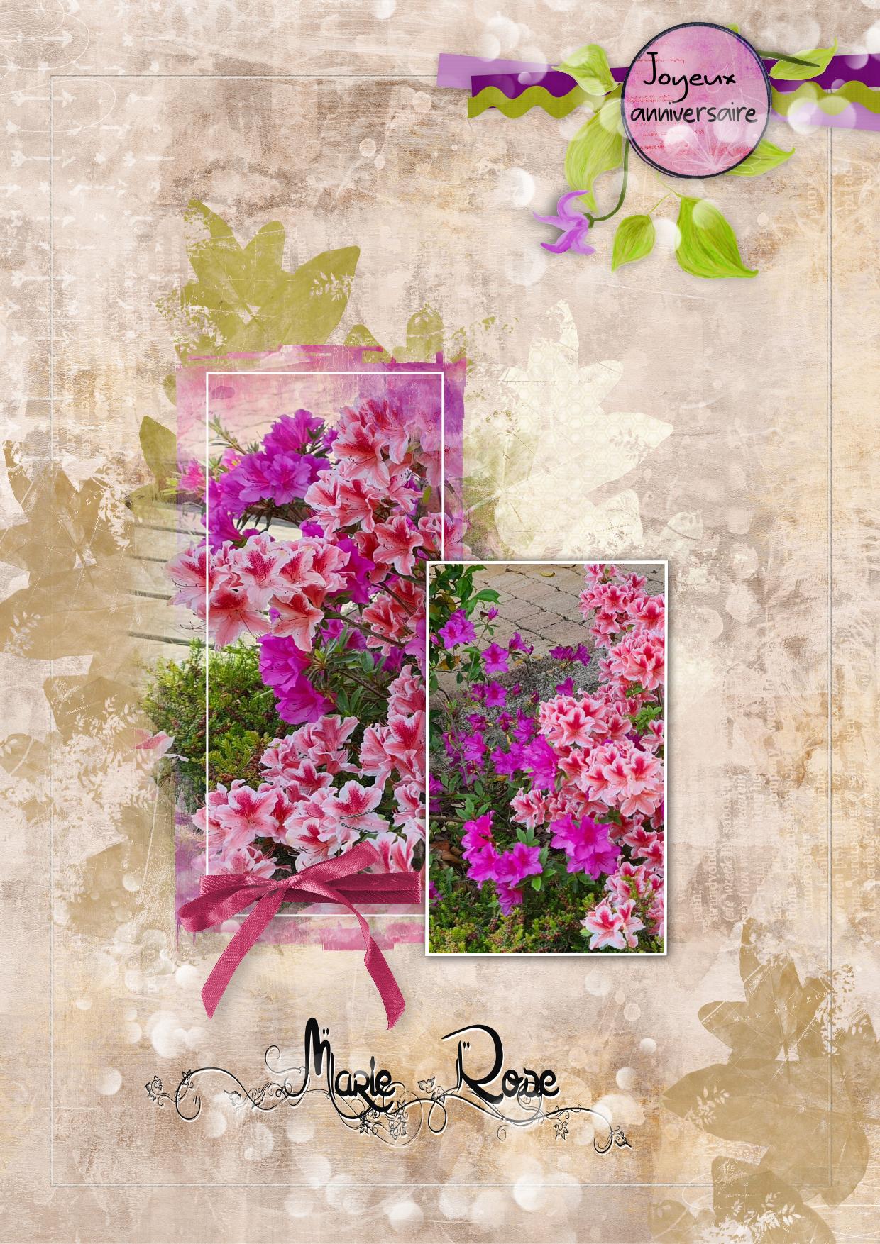 bon anniversaire .jpg