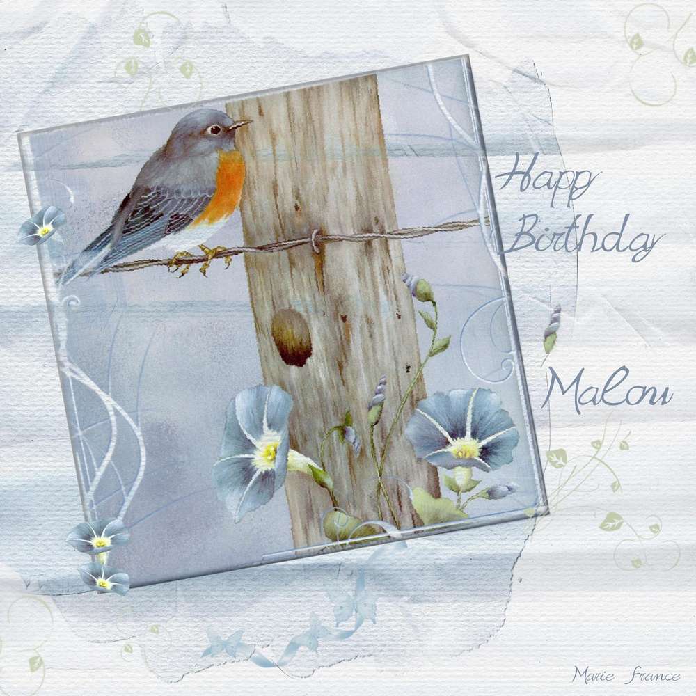 BON ANNIVERSAIRE MALOU