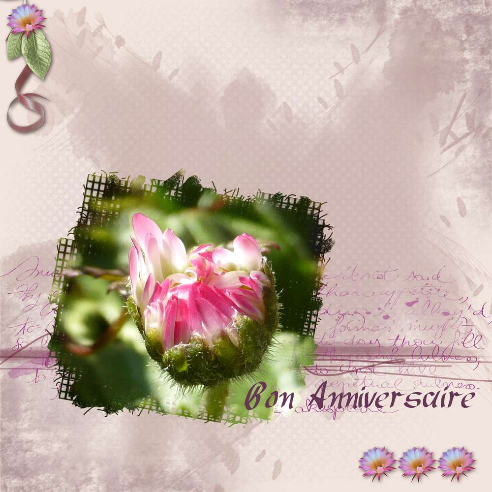 Bon Anniversaire malou