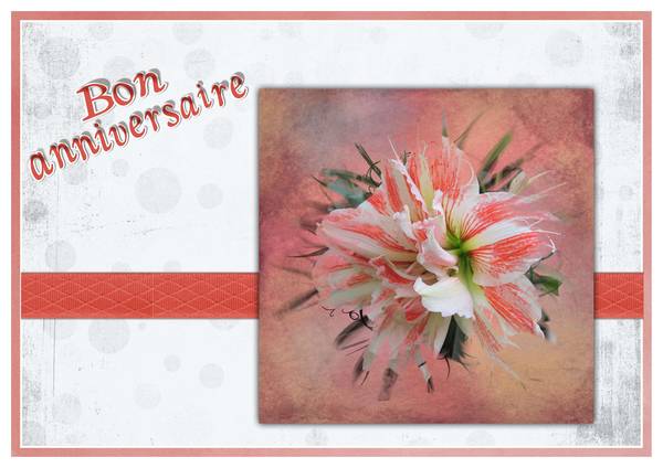 Bon Anniversaire Mamyfrance