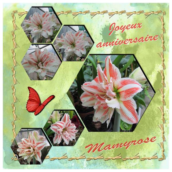 Bon Anniversaire Mamyrose