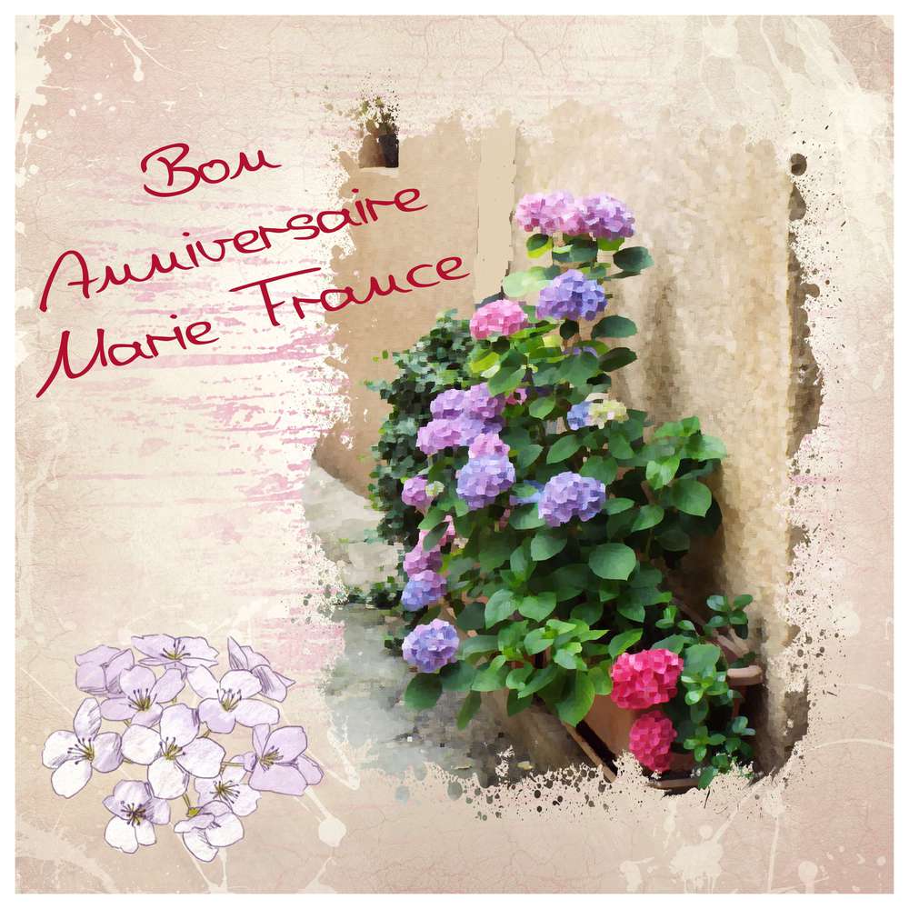 Bon Anniversaire Marie France