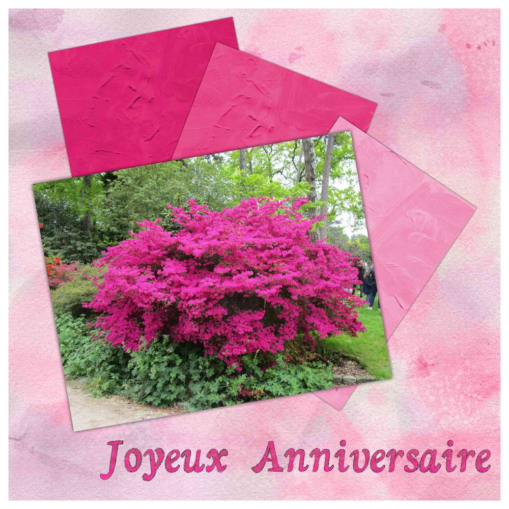 Bon Anniversaire Marilou Fu