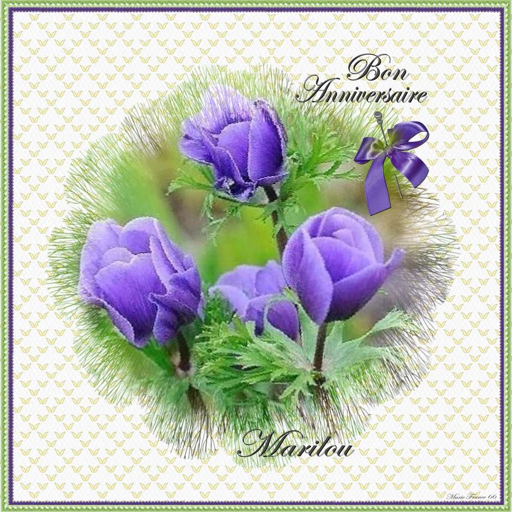 BON ANNIVERSAIRE MARILOU