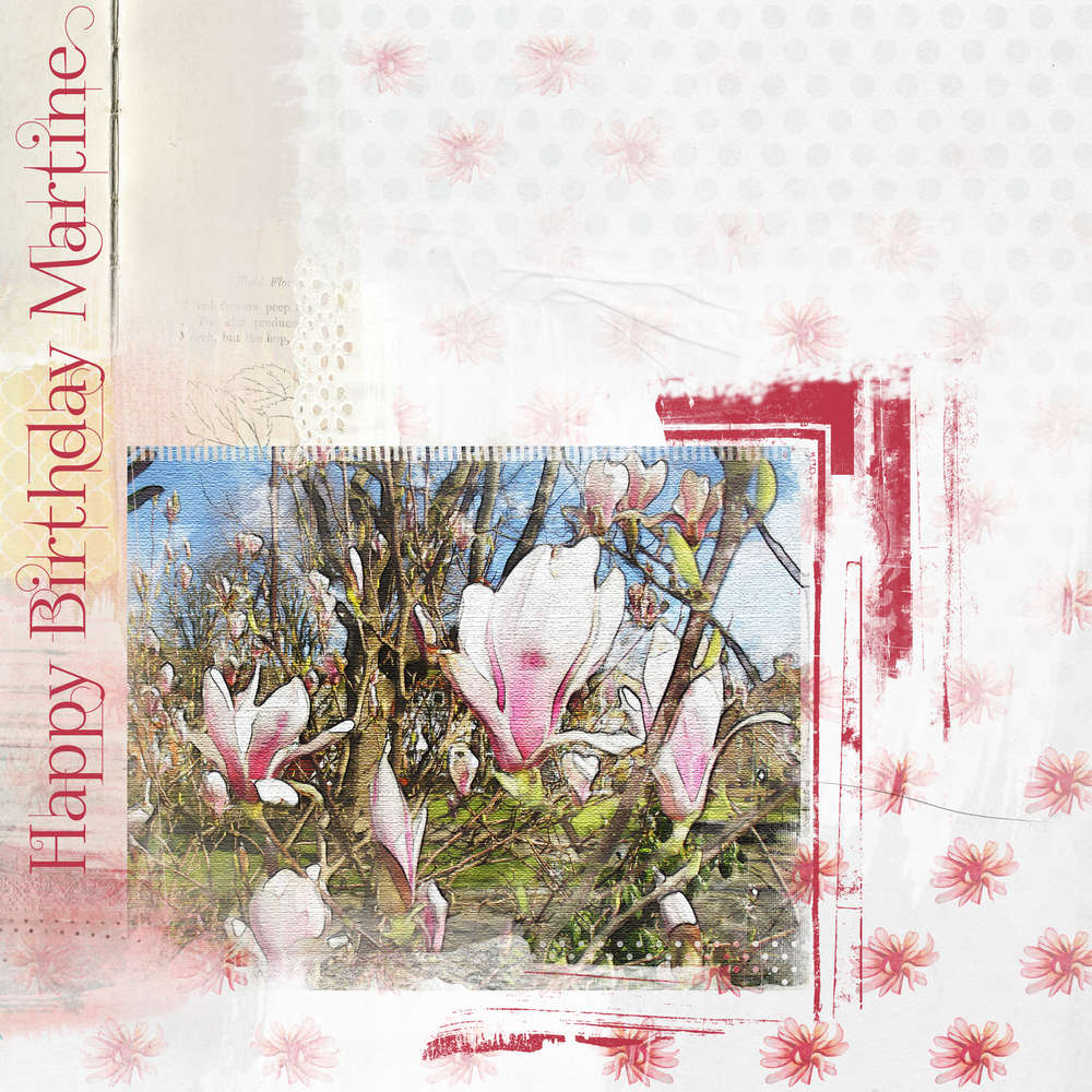 Bon anniversaire Martine