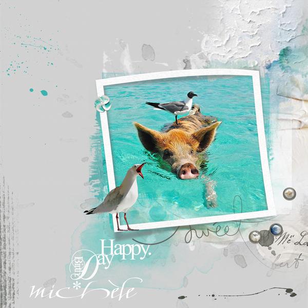 Bon Anniversaire Michèle