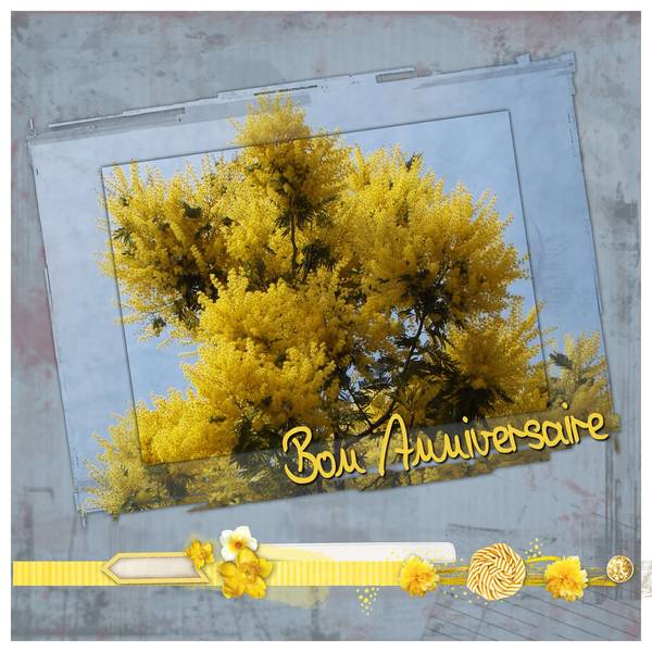 Bon Anniversaire Mimi de DS