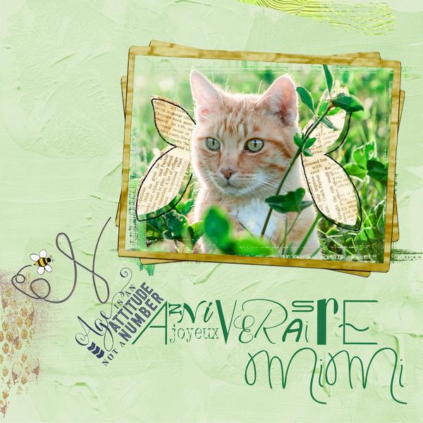 Bon anniversaire Mimidesaujon