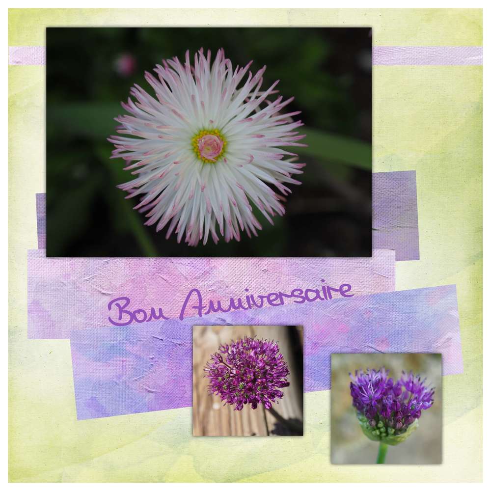 Bon Anniversaire Moyson