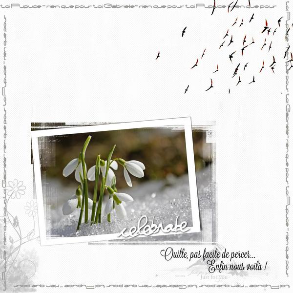 Bon Anniversaire Pupuce