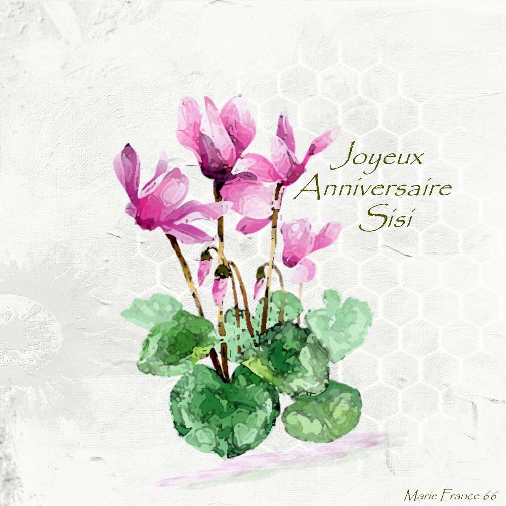 Bon anniversaire SISI