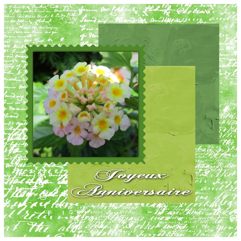 Bon Anniversaire Sylviane