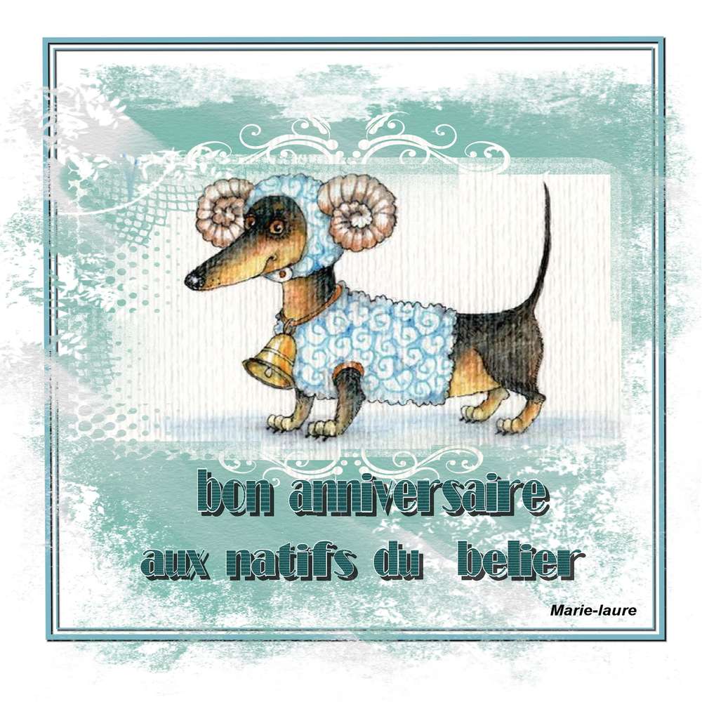 Bon  Anniversaire ....