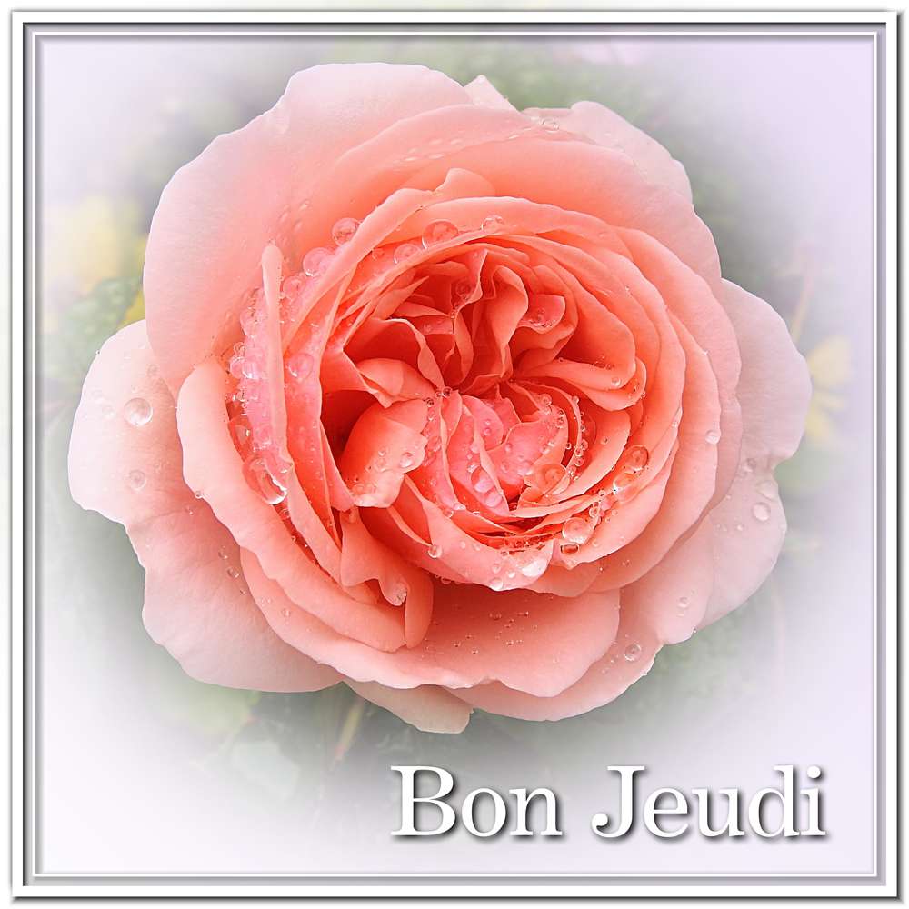 BON JEUDI