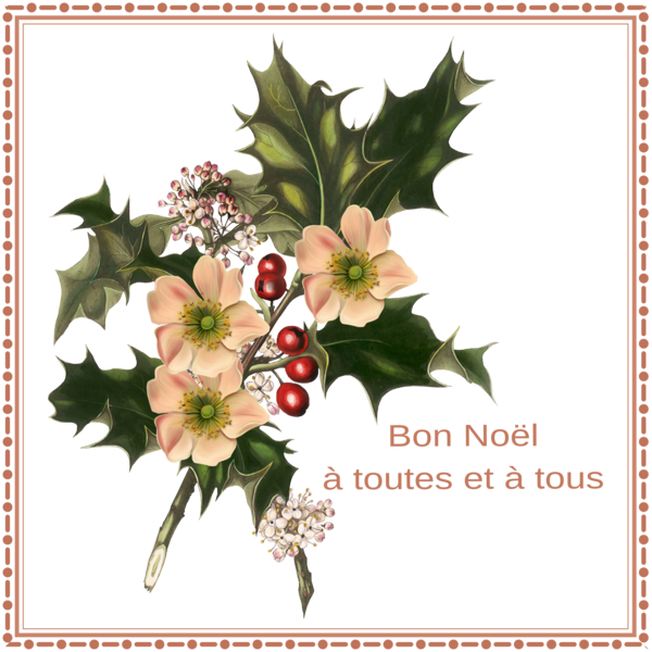 BON NOEL A TOUTES ET A TOUS