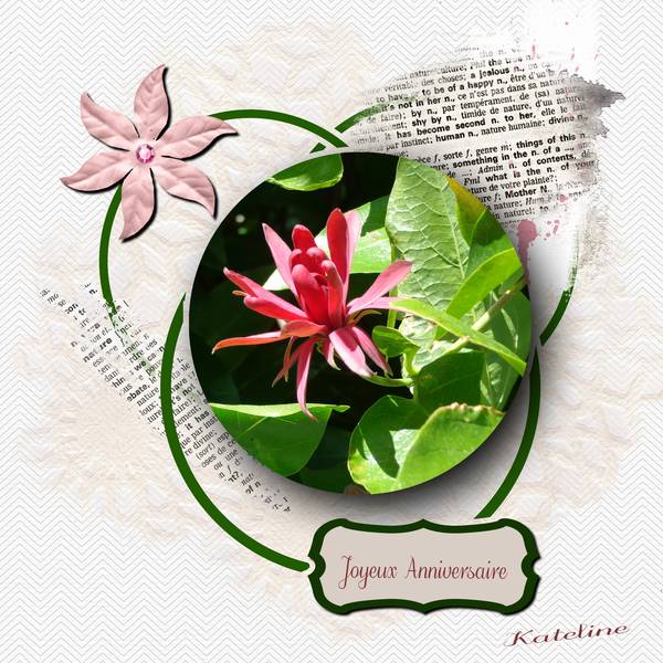 bon_anniversaire_Nathalie