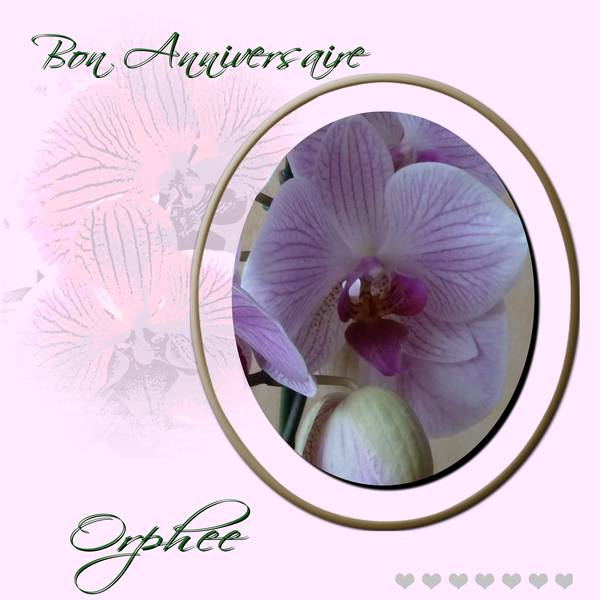 Bon_Anniversaire_Orphee