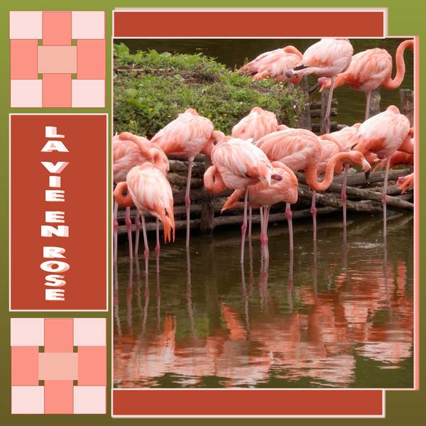 bonheur la vie en rose