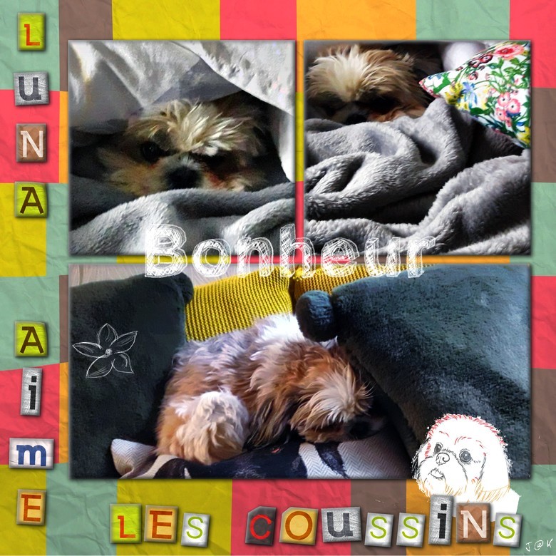 bonheur luna aime les coussins .jpg