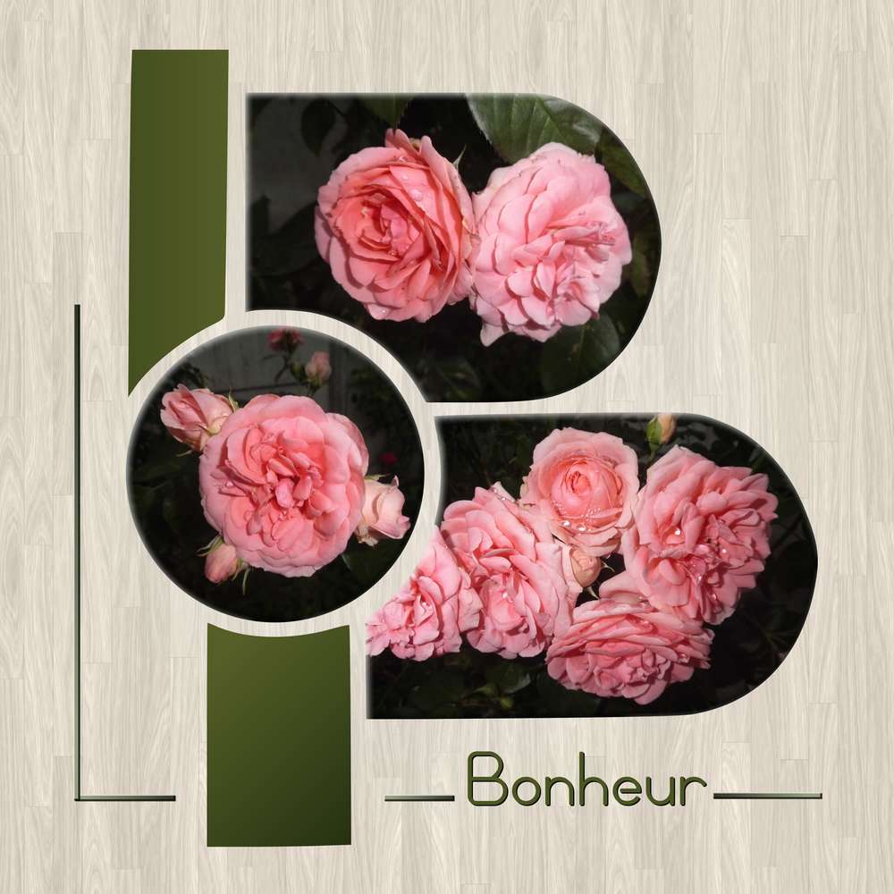 BONHEUR