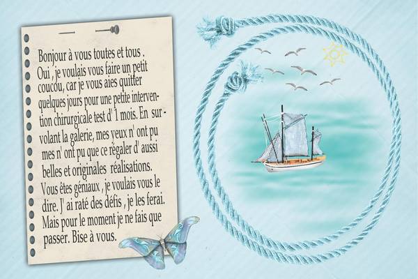 bonjour_aux_MDS__Realisation_du_04-05-14