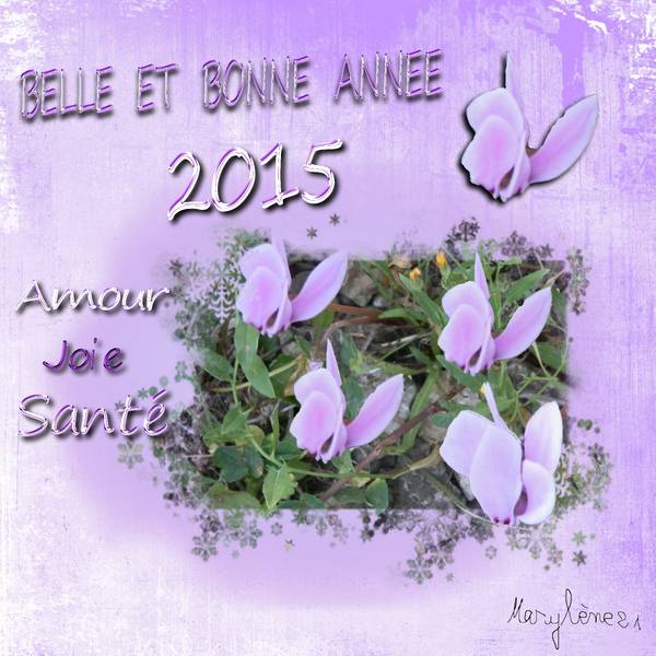 BONNE ANNÃ‰E A TOUS