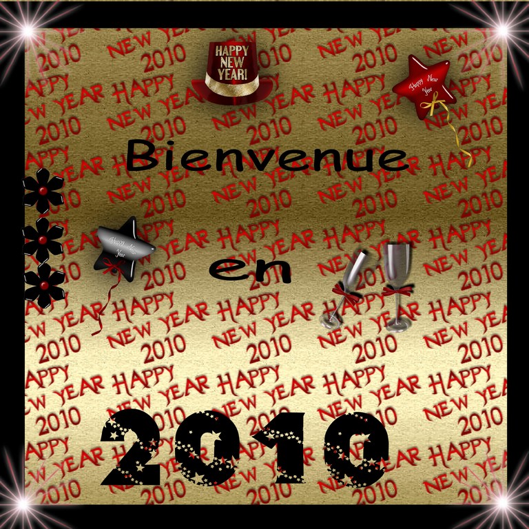 bonne annee 2010