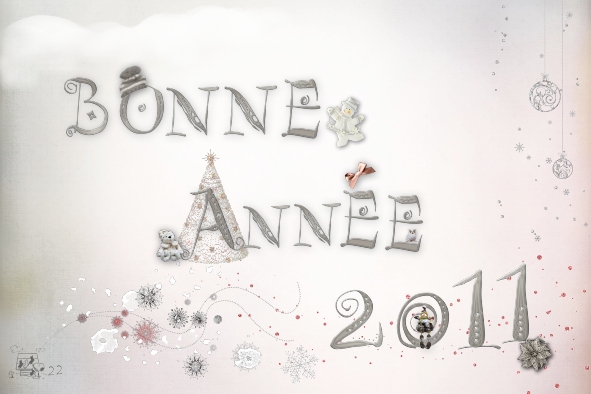 Bonne année 2011