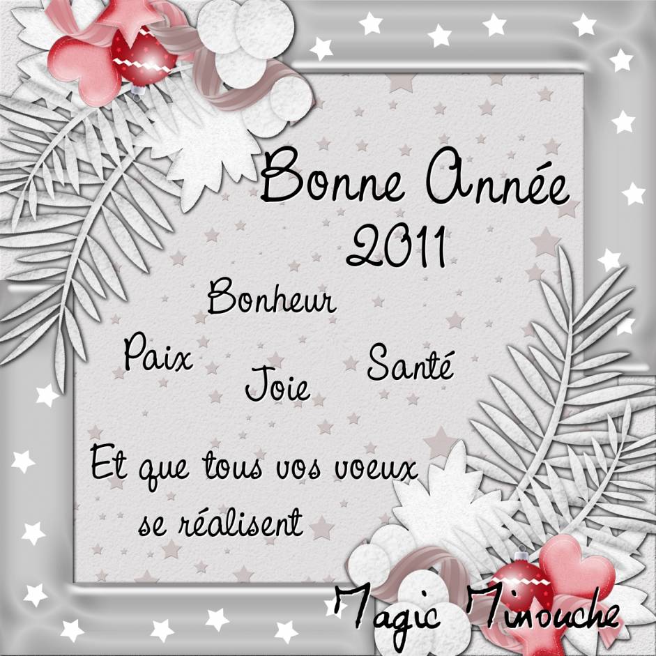 Bonne année 2011