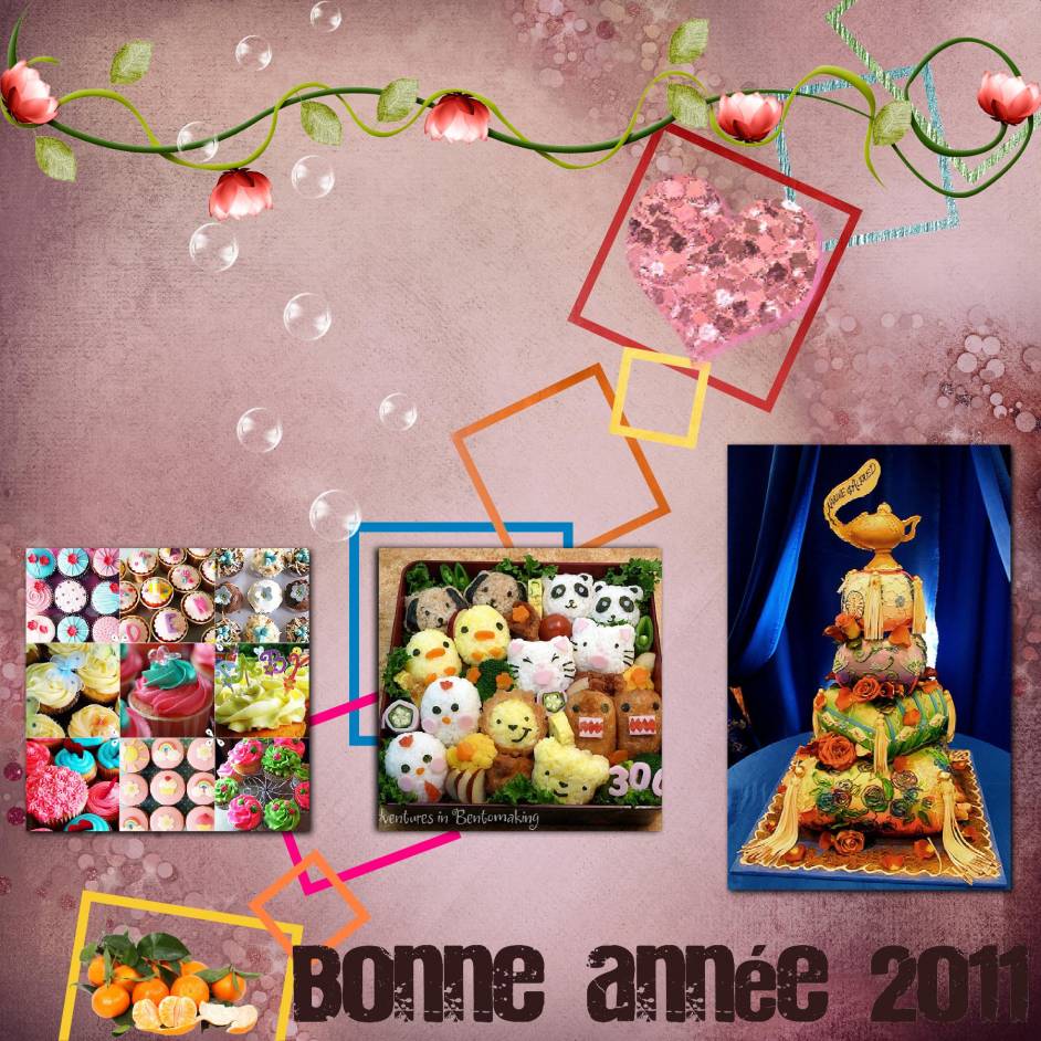 Bonne année 2011