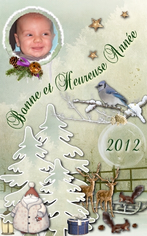 bonne année 2012