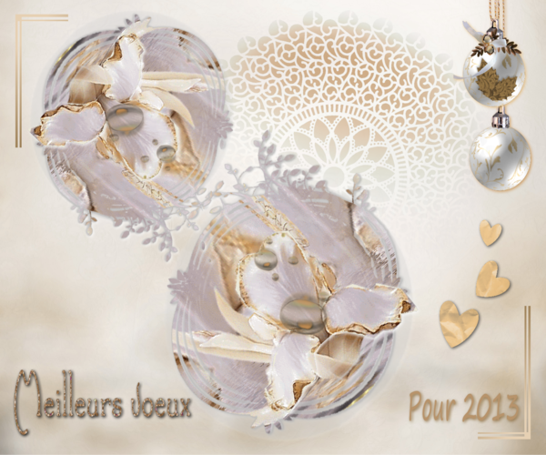 Bonne année 2013