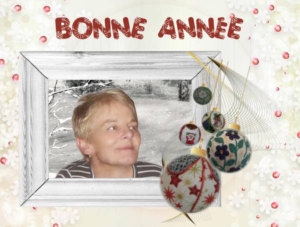 Bonne année 2013