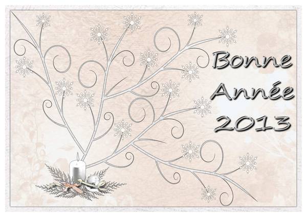 Bonne année 2013