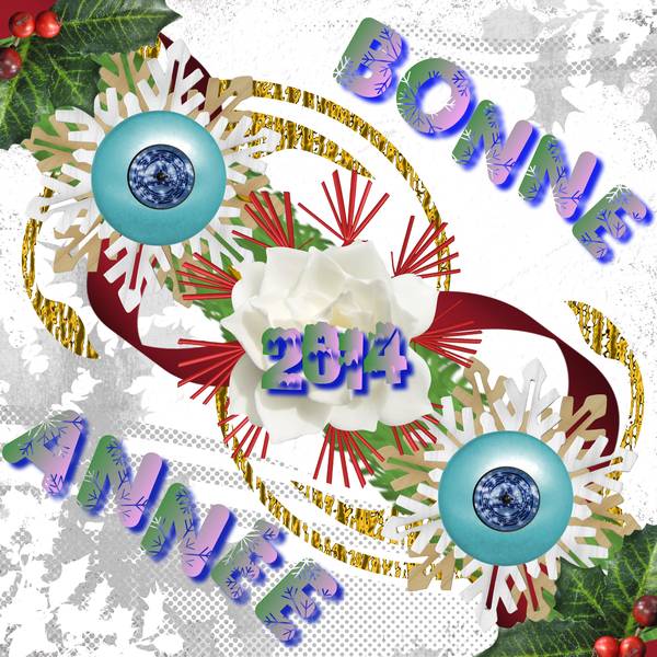 Bonne Année 2014