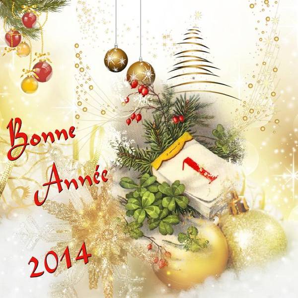 Bonne Année 2014