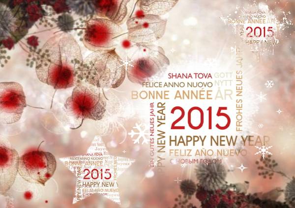 bonne année 2015