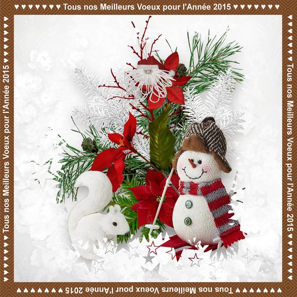 BONNE ANNEE 2015