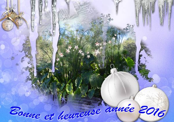 Bonne année 2016 version classique